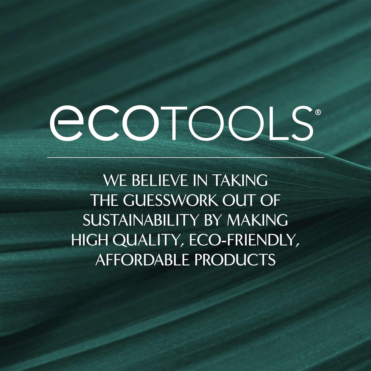 EcoTools Daily Defined Eye Brush Kit, Makeup Brushes For Liquid, Powder, & Cream Eyeshadow & Eyeliner Application, Eco-Friendly Eye Brushes, Synthetic Hair, Cruelty Free, 5 Piece Set